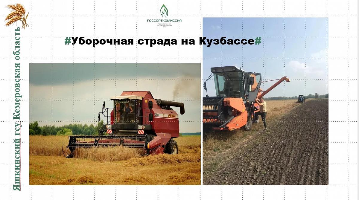 Филиал ФГБУ «Госсорткомиссия» по Новосибирской и Кемеровской областям участвует в профориентационной работе со школьниками