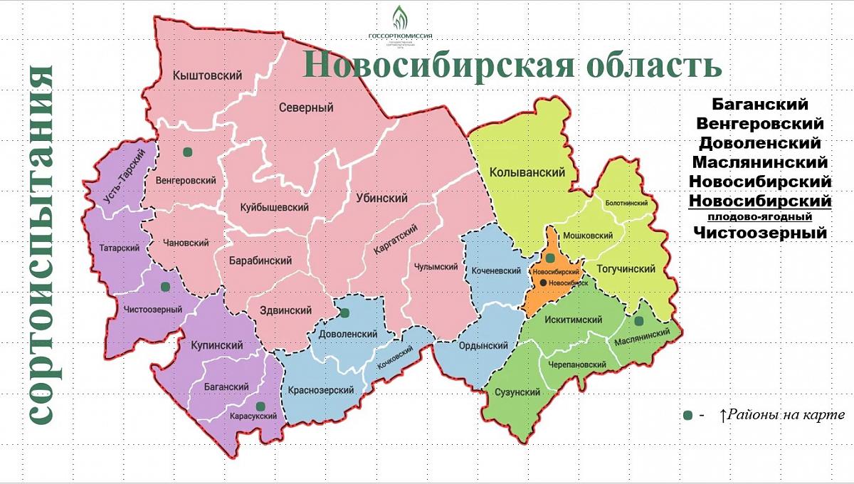 Филиал ФГБУ «Госсорткомиссия» по Новосибирской и Кемеровской областям участвует в профориентационной работе со школьниками